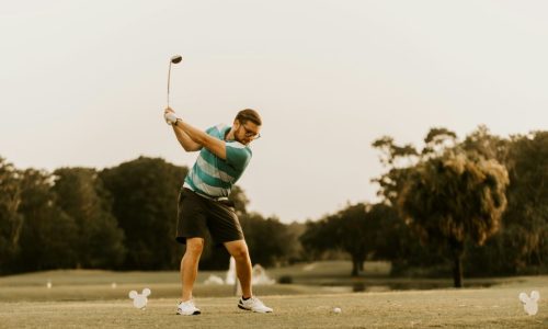 Golf Driver Schwung Profi Hero
